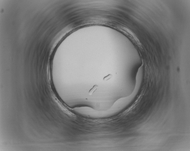 X0000075840796200610151544