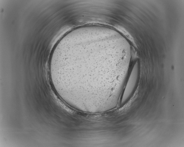 X0000075840798200610151544