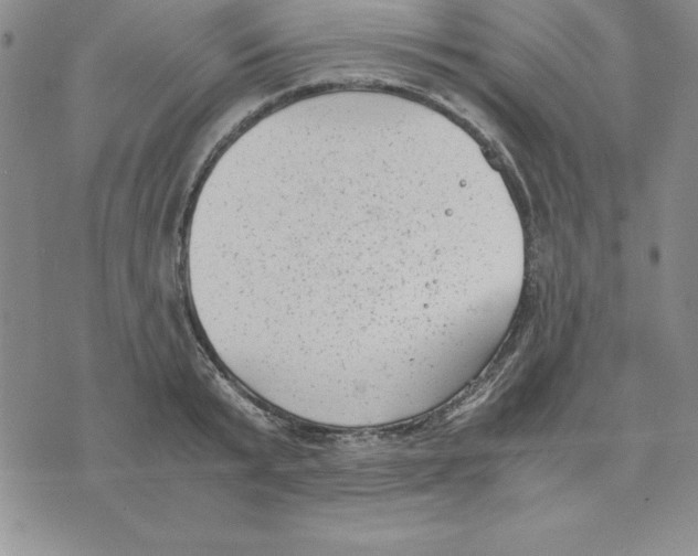 X0000075840799200610151544