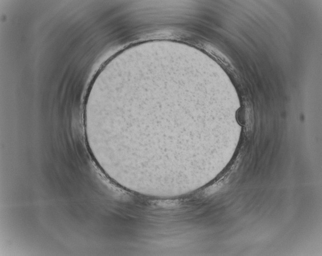 X0000075840800200610151543