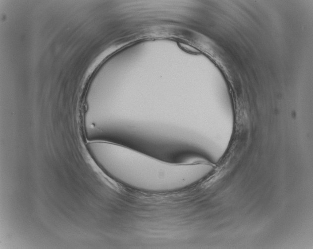 X0000075840803200610151543