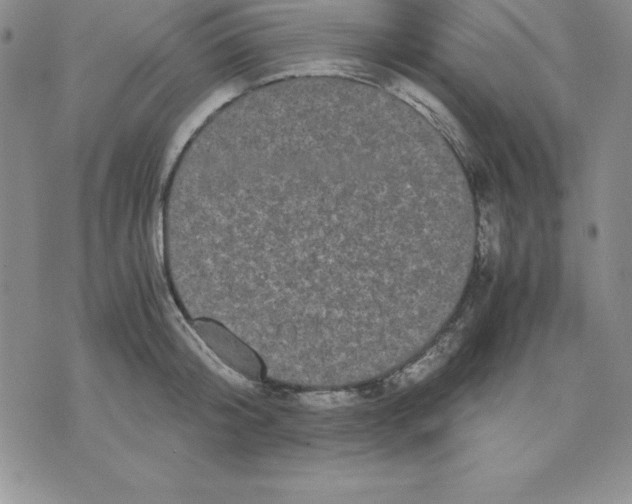 X0000075840804200610151543