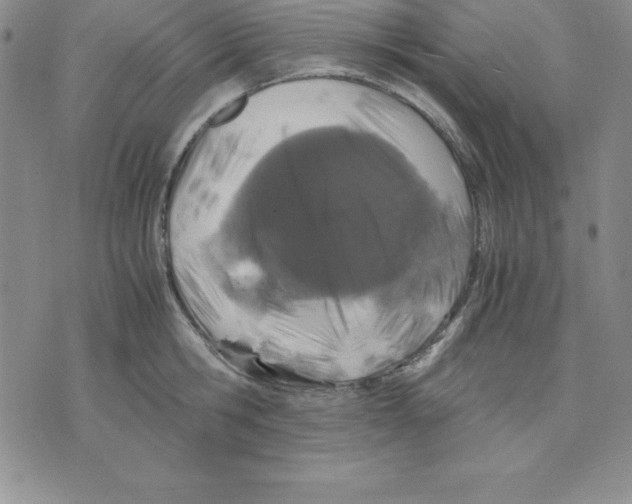 X0000075840806200610151543