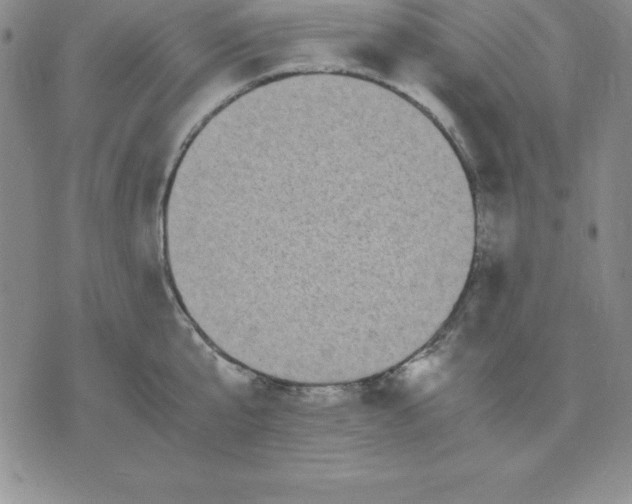 X0000075840807200610151543