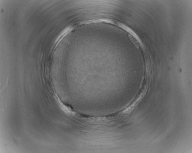 X0000075840809200610151543