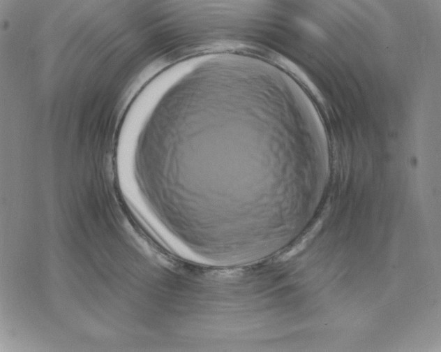 X0000075840810200610151543