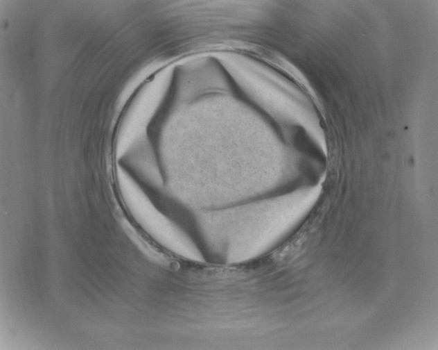 X0000075840811200610151543