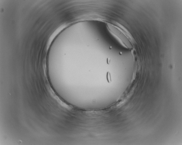 X0000075840812200610151543