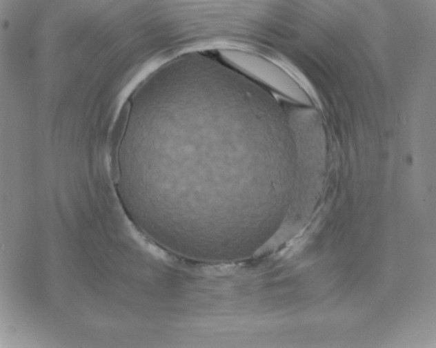 X0000075840813200610151543