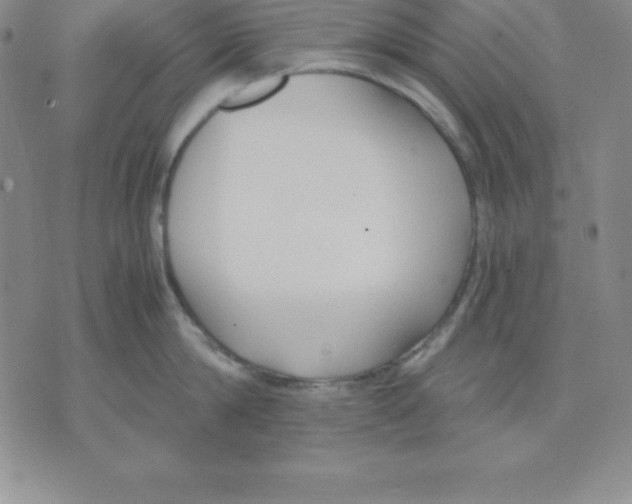 X0000075840814200610151543