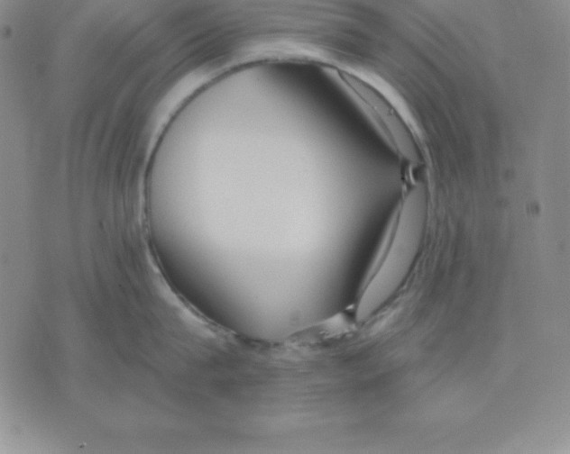 X0000075840815200610151543