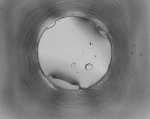 X0000075840816200610151543