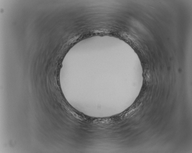 X0000075840817200610151542