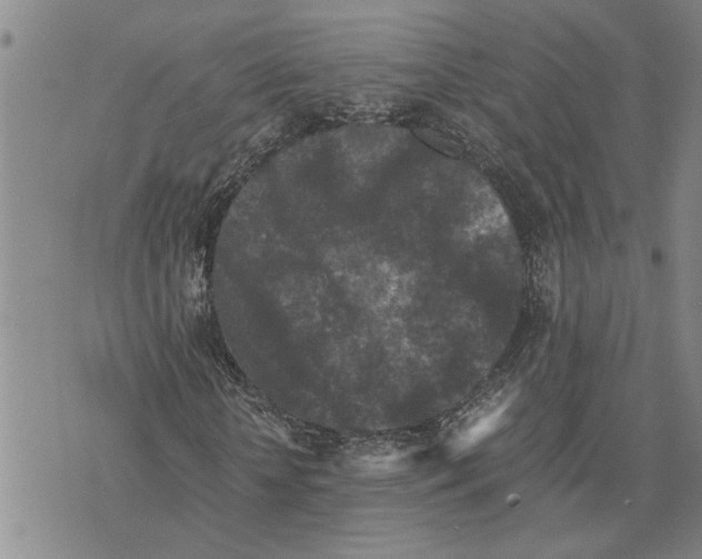 X0000075840818200610151542