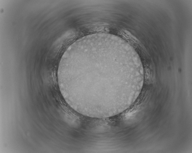 X0000075840820200610151542