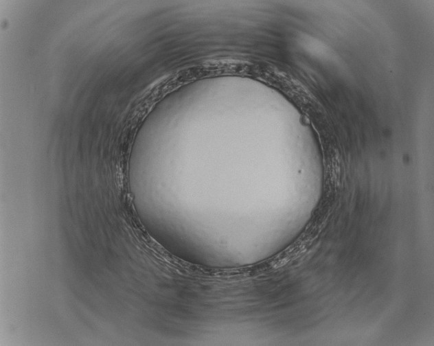 X0000075840821200610151543