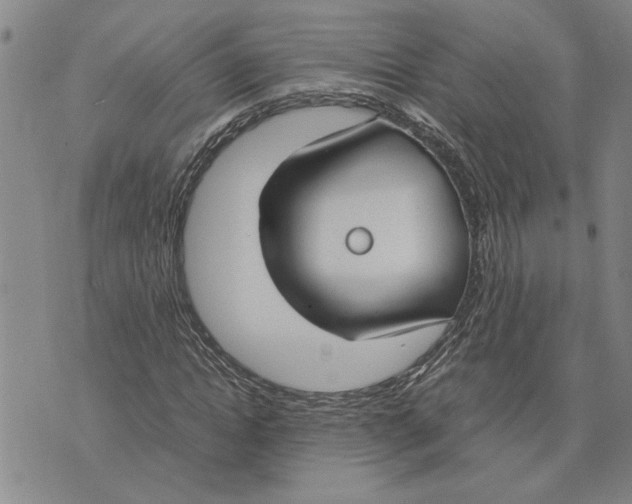 X0000075840822200610151543