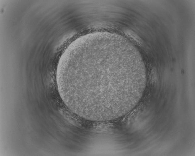 X0000075840824200610151543