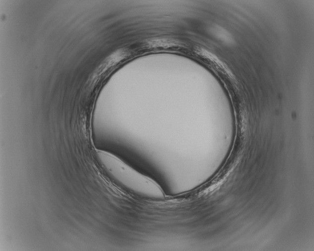 X0000075840825200610151543