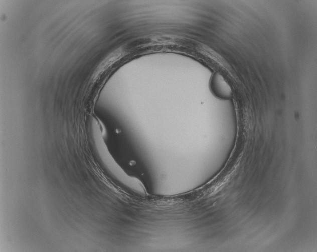 X0000075840826200610151543