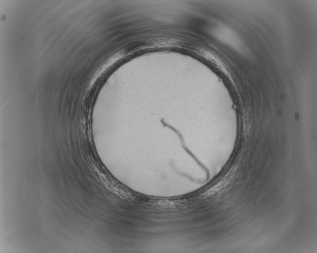 X0000075840827200610151543