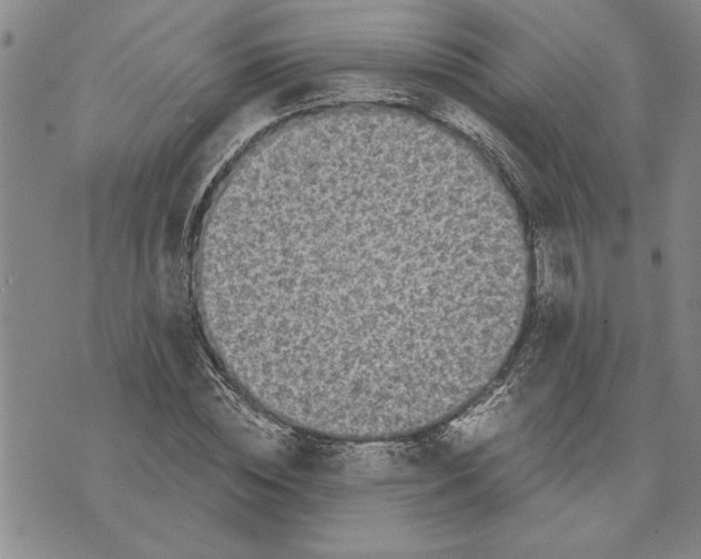 X0000075840828200610151543