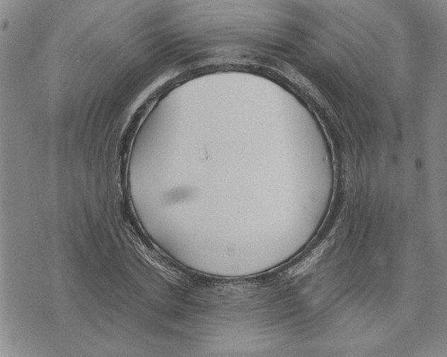 X0000075840830200610151543