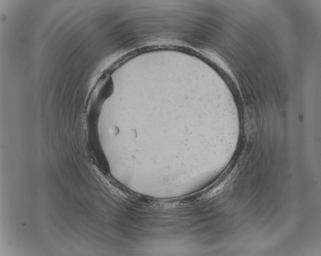 X0000075840831200610151543