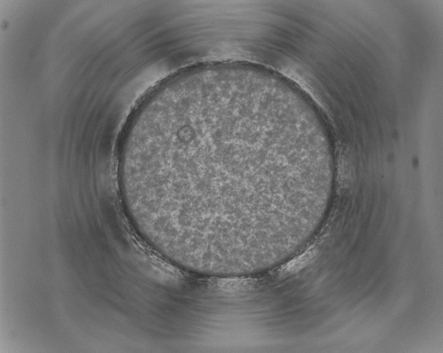 X0000075840832200610151543