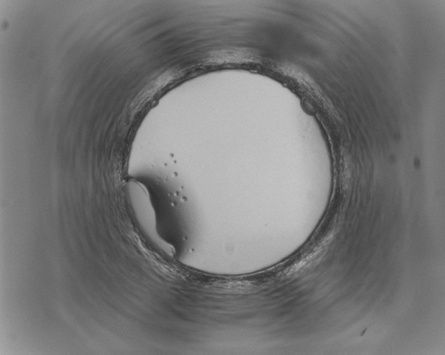 X0000075840833200610151543