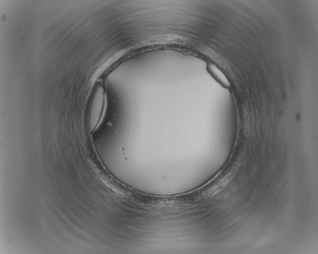 X0000075840834200610151543