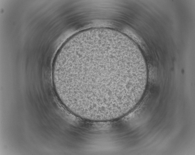 X0000075840836200610151543