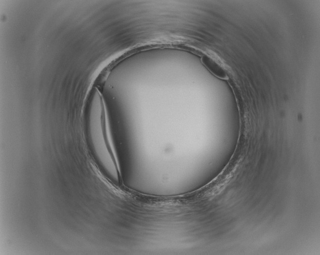 X0000075840838200610151543