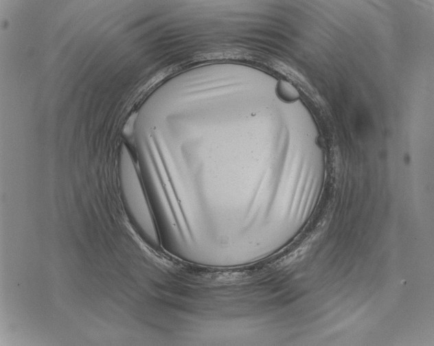 X0000075840841200610151543