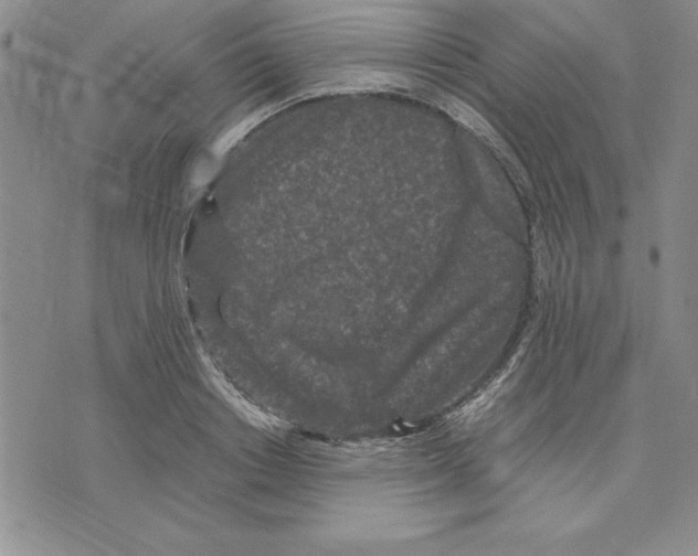 X0000075840842200610151543