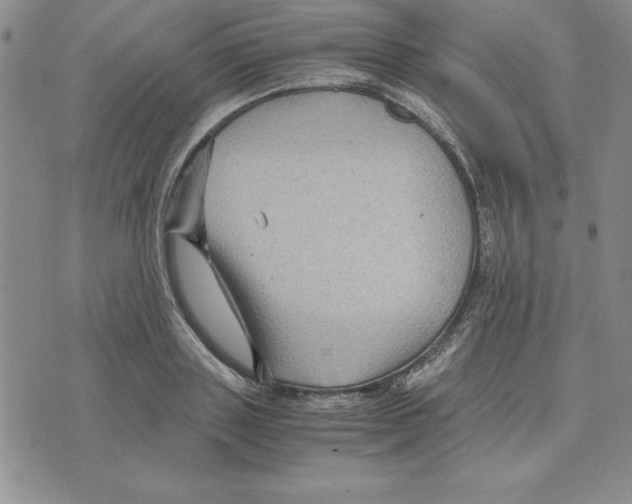 X0000075840843200610151543