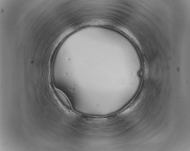 X0000075840845200610151543