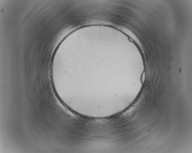 X0000075840847200610151543