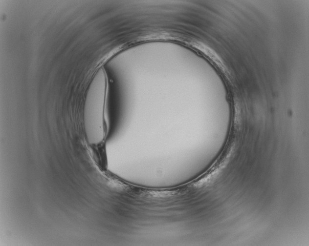 X0000075840849200610151543