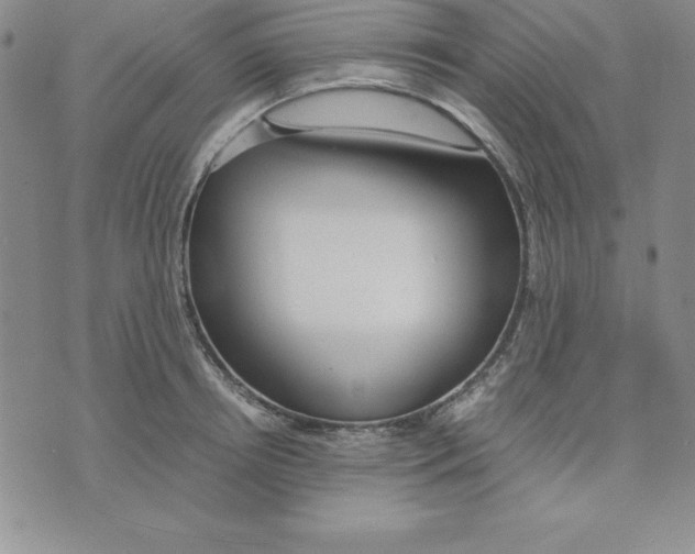 X0000075840850200610151543