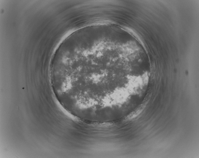 X0000075840851200610151543