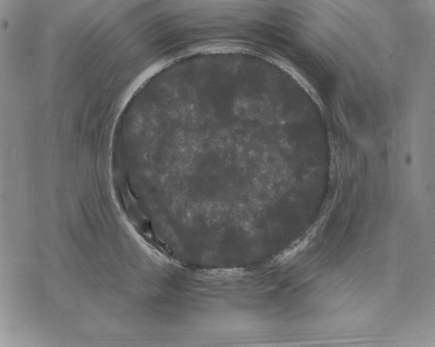 X0000075840853200610151543