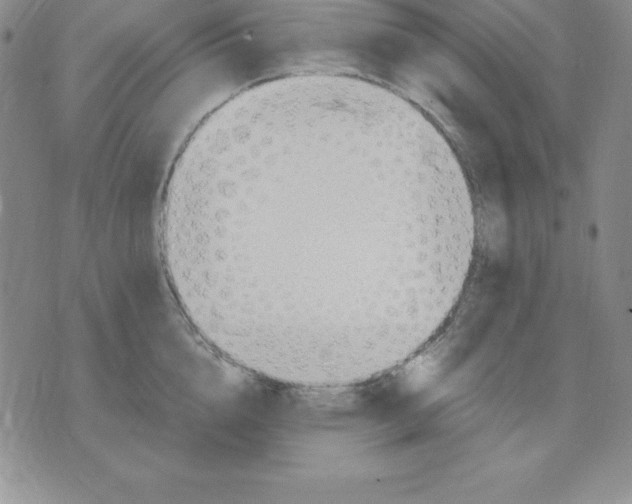 X0000075840856200610151543