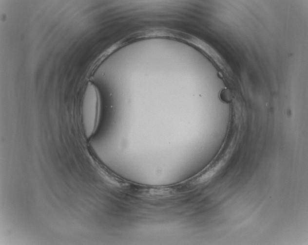 X0000075840857200610151543