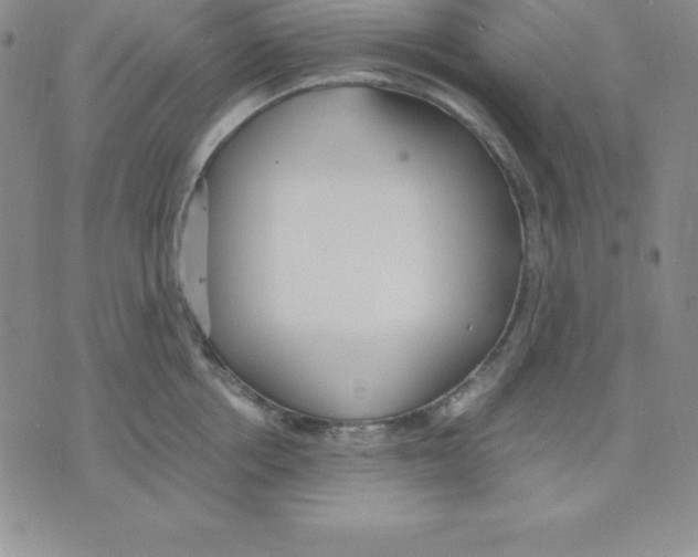 X0000075840858200610151543