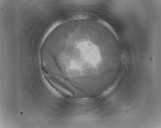 X0000075840859200610151543