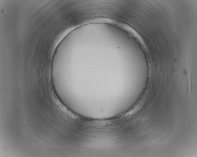 X0000075840860200610151543