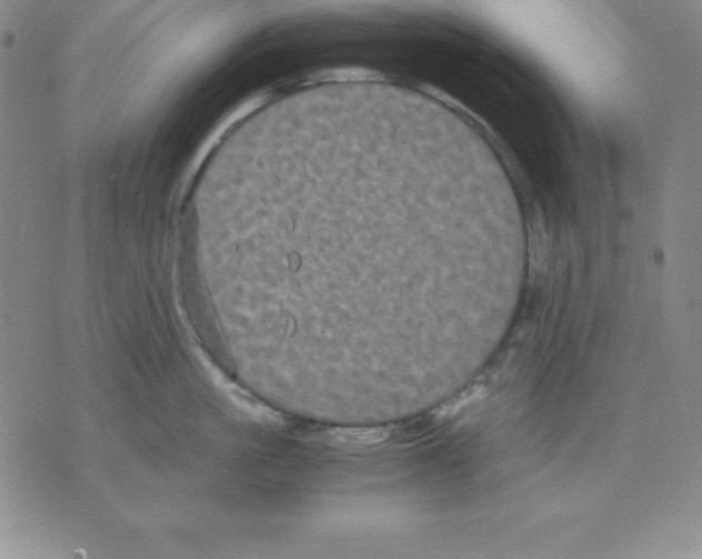 X0000075840861200610151543