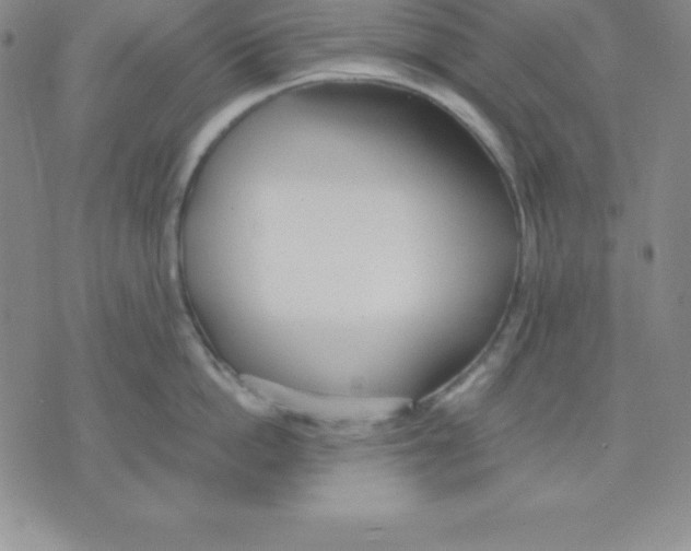 X0000075840862200610151543