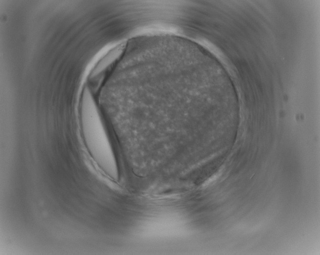 X0000075840864200610151543